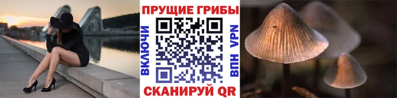 Псилоцибиновые грибы мухоморы  где найти   Липецк 
